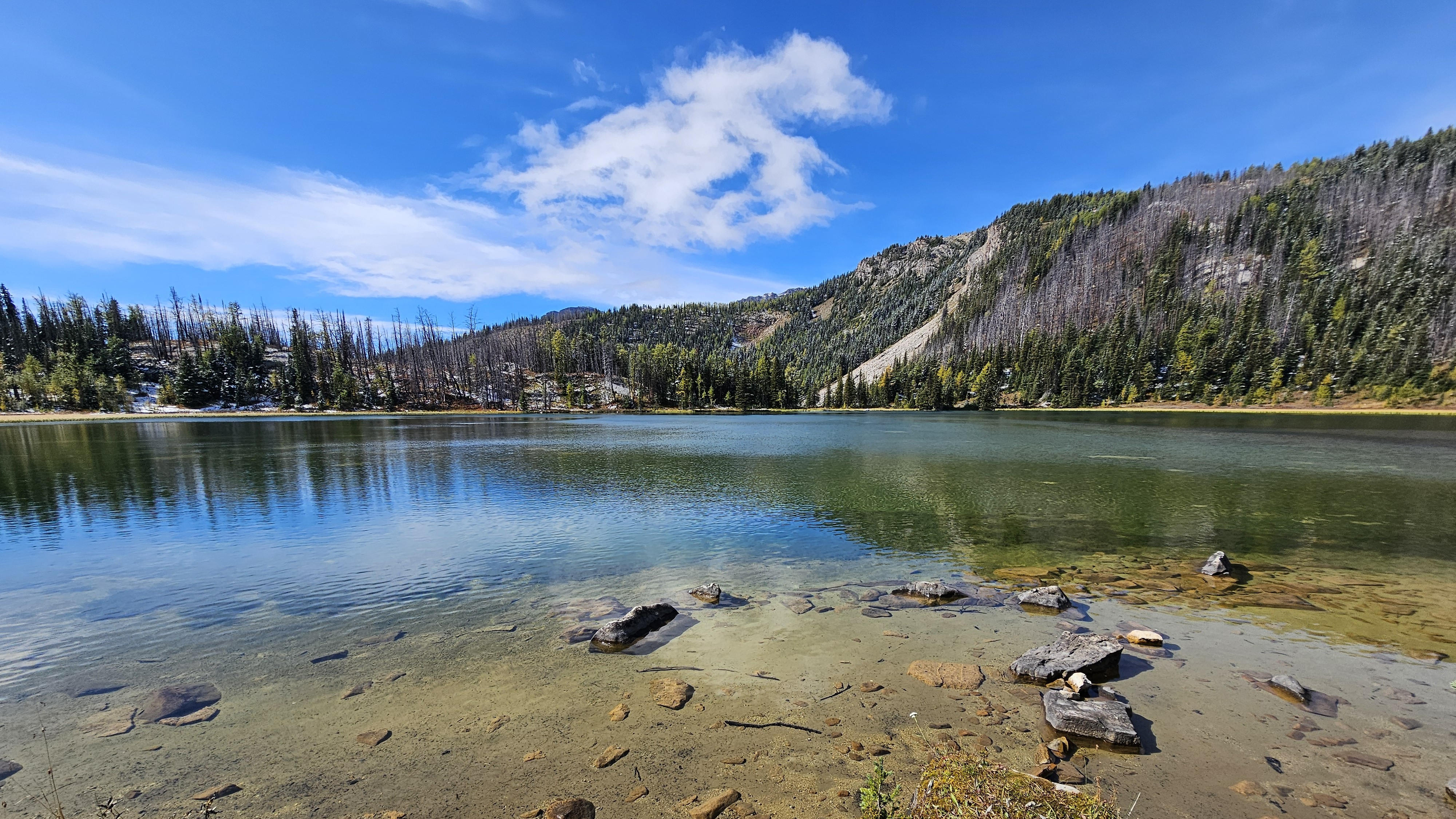 Sunshine Meadows